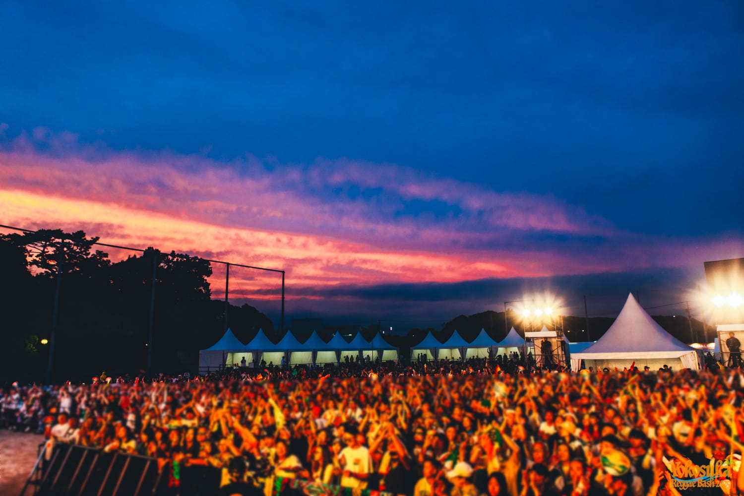 YOKOSUKA REGGAE BASH 2026 | ヨコスカレゲエバッシュ2026